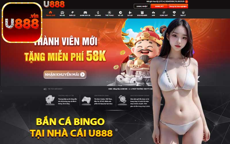 Bắn cá Bingo tại nhà cái U888